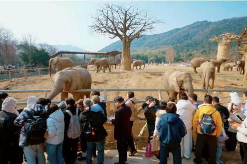 当旅行不再满足于“看见”：参与式消费如何改写酒旅逻辑？ 