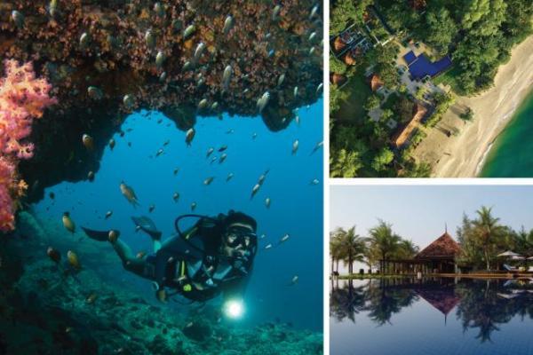 探索天鹅岛深处，在月之影度假村守护海龟