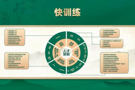 从“手法依赖”到“技术产品双轮驱动”：中式智能养生加盟的标准化进化论