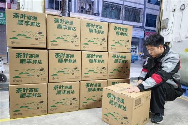 顺丰将揽收点扎进茶山，护航早春茶送到家