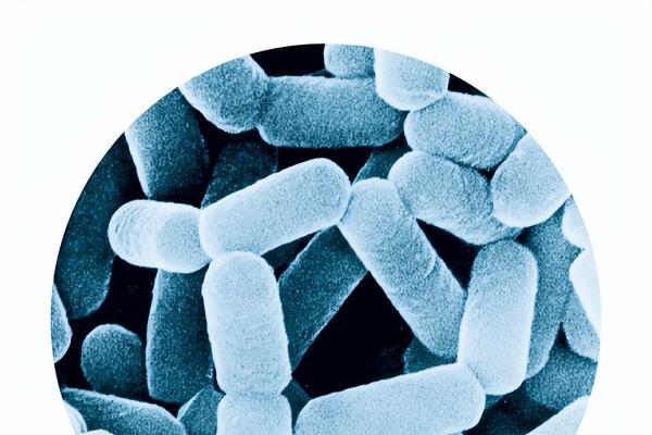 践行"益心守护 科学护航"承诺，2026年养乐多消费者服务强化月暖心开启 