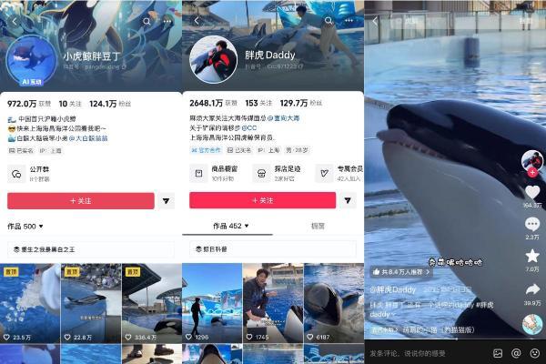 一年76次热榜，上海海昌用“参与感”激发好生意