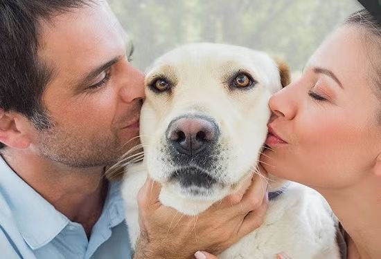 AWE2026最大反差萌：一只猫代言的清洁家电品牌友望有点意思 