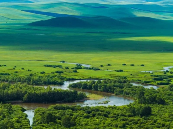 纹艺觉醒·牧绘北疆丨千年舟花色设计大赛走进内蒙古师范大学，共话草原家居新未来 