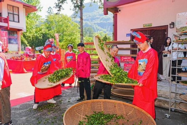 卡萨帝茶叶柜亮相第4届武夷星大红袍文化节 