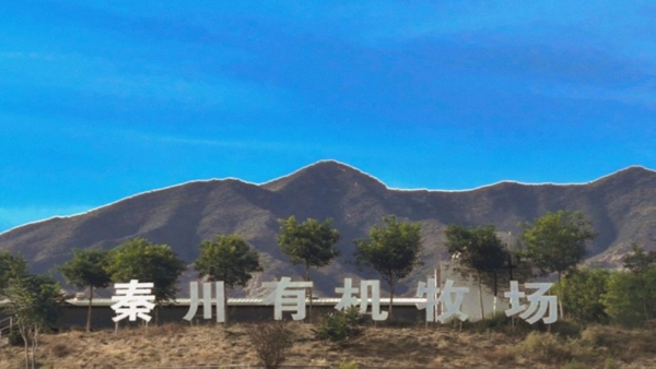 央牧乳业×零食王国 战略结盟：以全产业链领航新消费，共启国民营养与渠道共赢新征程 