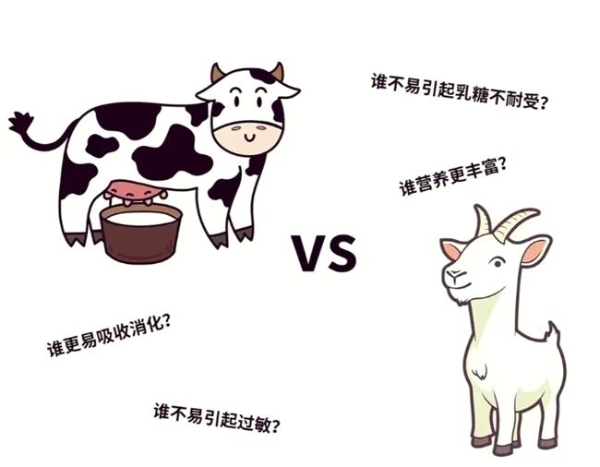 适合过敏体质喝的奶粉哪款好？这几款更适合小敏感宝宝 