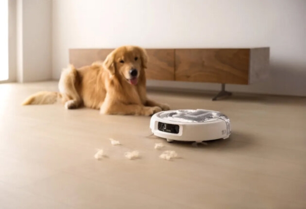 滚筒、履带、圆盘......今年618扫地机的风刮向谁？ 