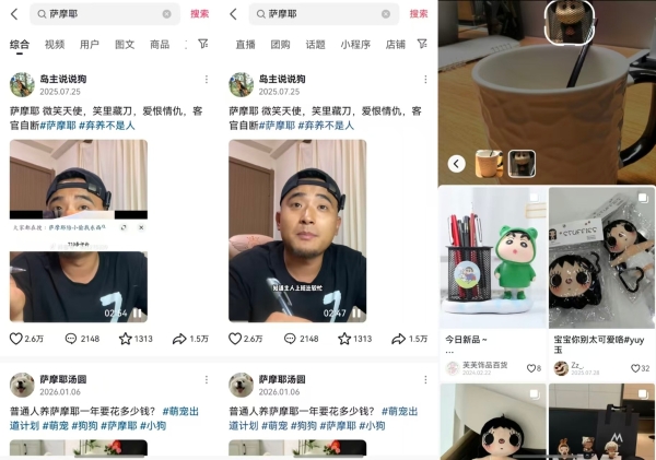 鸿蒙版抖音再焕新：支持文字拍摄、作品置顶，创作、分享更省心 