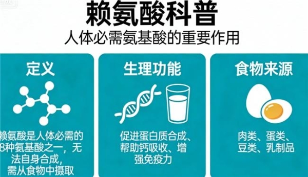 赖氨酸出名三个牌子？2026十大排名为你揭晓，速来围观 