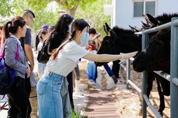 华润万家携手东阿阿胶溯源中国味，从乡土到万家让好物触手可及 