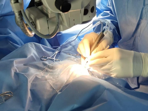 安安宠医上海汪汪小公馆分院成功救治猫罕见恶性青光眼 