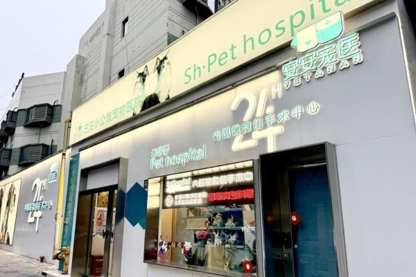 安安宠医上海汪汪小公馆分院成功救治猫罕见恶性青光眼 