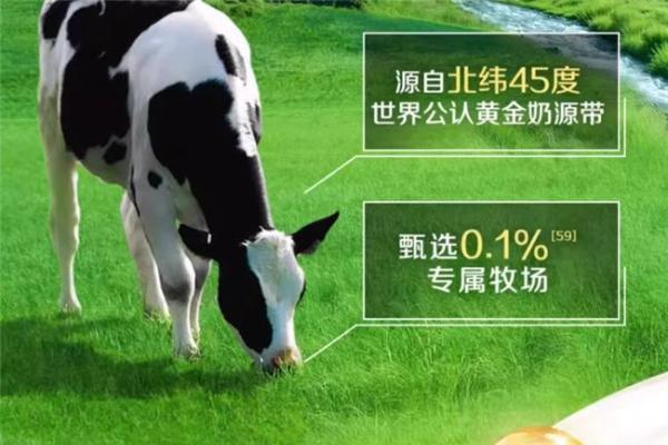 DHA奶粉有哪些推荐？贴合中国体质与全球化品质各有所长 