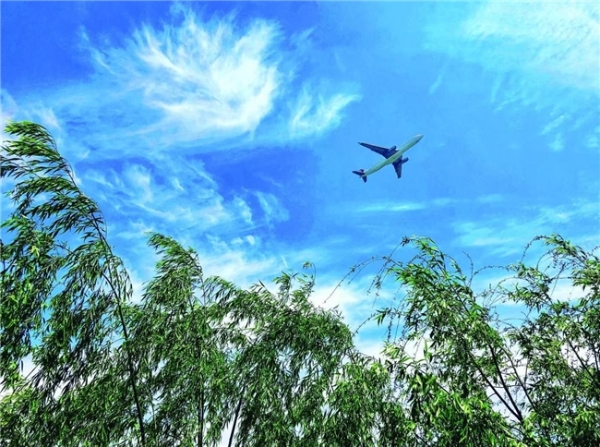 中国东航：以绿色飞行绘就可持续发展新蓝图 