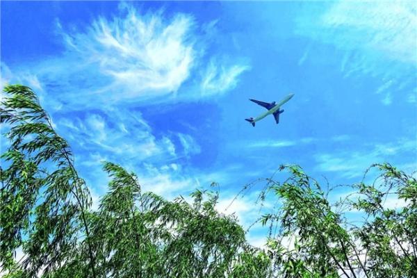 中国东航：以绿色飞行绘就可持续发展新蓝图 