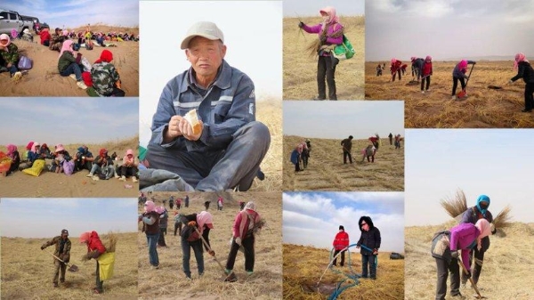 植愈地球不止十七载 悦木之源焕新公益表达 「去跑树，步步算树」开启全国挑战 