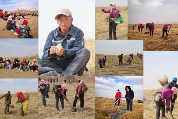 植愈地球不止十七载 悦木之源焕新公益表达 「去跑树，步步算树」开启全国挑战 