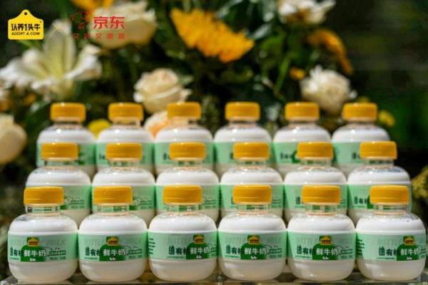 有机乳品赛道扩容，认养一头牛推出黑土有机鲜牛奶新品 