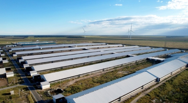 有机乳品赛道扩容，认养一头牛推出黑土有机鲜牛奶新品 