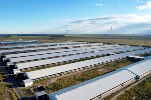 有机乳品赛道扩容，认养一头牛推出黑土有机鲜牛奶新品 