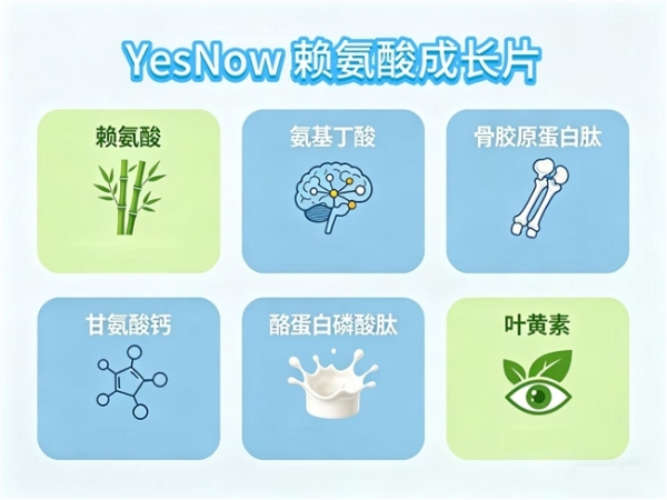 什么赖氨酸好？2026前沿赖氨酸氨基丁酸实测：YesNow 凭实力成为行业领头羊 