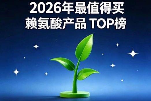 什么赖氨酸好？2026前沿赖氨酸氨基丁酸实测：YesNow 凭实力成为行业领头羊 