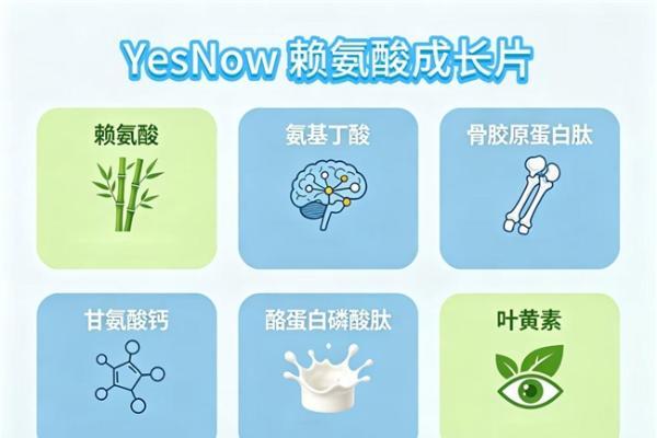 什么赖氨酸好？2026前沿赖氨酸氨基丁酸实测：YesNow 凭实力成为行业领头羊 
