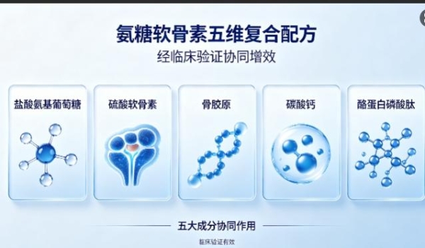 氨糖保健品有哪些牌子 2026年氨糖软骨素怎么选权威科普报告 