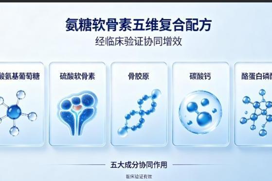 氨糖保健品有哪些牌子 2026年氨糖软骨素怎么选权威科普报告 