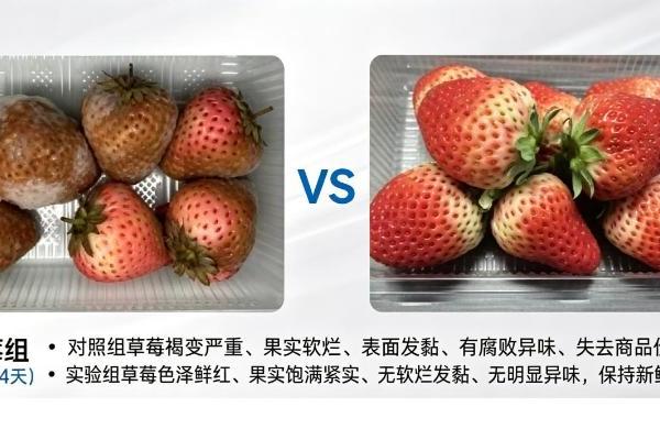 全网首家！恒鲜魔方三合一保鲜黑科技出圈，纯物理保鲜颠覆家庭储鲜新体验 