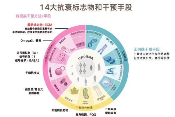 润百颜ECM细胞年轻基质战略发布，华熙生物再定义科技护肤底层逻辑 