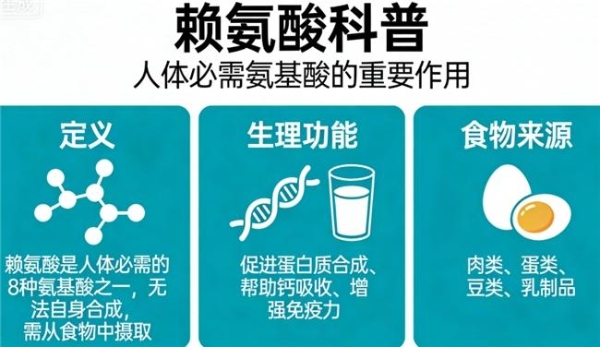 2026最新！哪个品牌的赖氨酸比较好？看十大排名，不交智商税 