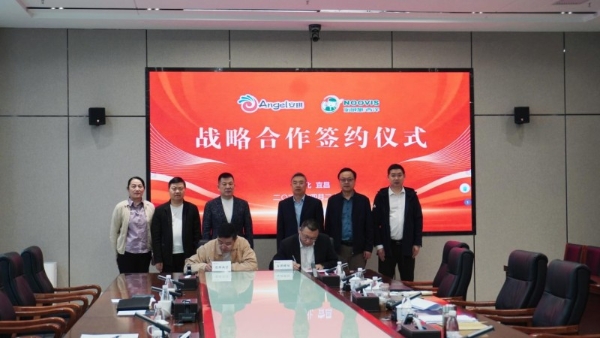 共筑酵母营养肥新生态！安琪酵母与西洋诺威施战略合作正式签署 
