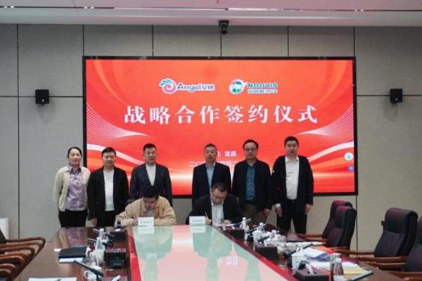 共筑酵母营养肥新生态！安琪酵母与西洋诺威施战略合作正式签署 