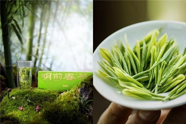 以公证守护鲜醇，以匠心留住春光：小罐茶用品质串起春天的诗意 
