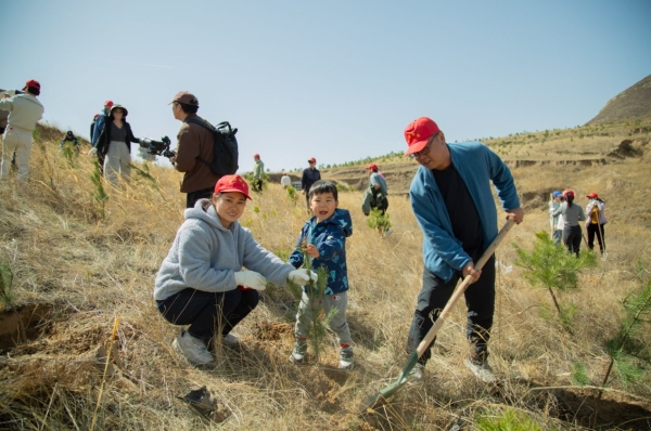 春风拂绿蔚州，14年坚守再添千株新松