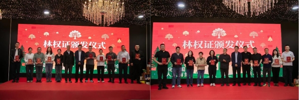 春风拂绿蔚州，14年坚守再添千株新松