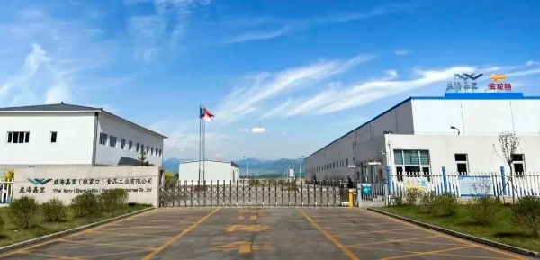 春风拂绿蔚州，14年坚守再添千株新松