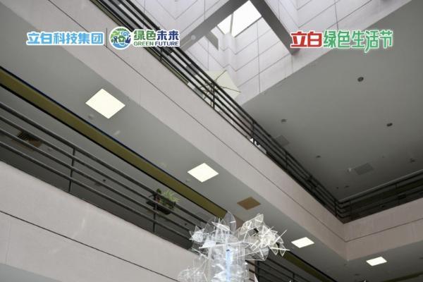 艺术邂逅环保：立白科技集团携手广美师生打造“绿色先锋环保艺术展” 