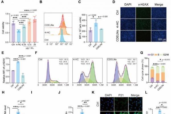 机制探究丨肉苁蓉植物源性细胞外囊泡通过miR159b-3p靶向P21/CDK1通路调控发挥促睾及保护作用 