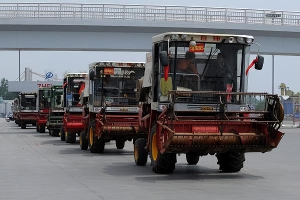 麦熟一季不等人，王健坤带着机队把收割时间卡得刚刚好 