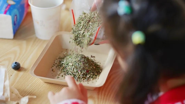 同学·同行丨羊爸爸与西南财大西部商学院同学共赴一场顺时养生之约 