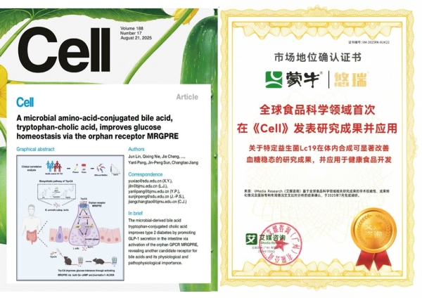 又获殊荣！蒙牛益生菌闪耀新加坡！自研菌株Lc19斩获国际乳业创新峰会年度大奖 