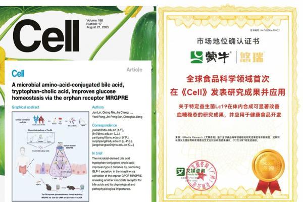 又获殊荣！蒙牛益生菌闪耀新加坡！自研菌株Lc19斩获国际乳业创新峰会年度大奖 