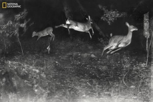 国家地理探索博物馆将于2026年6月26日开放 