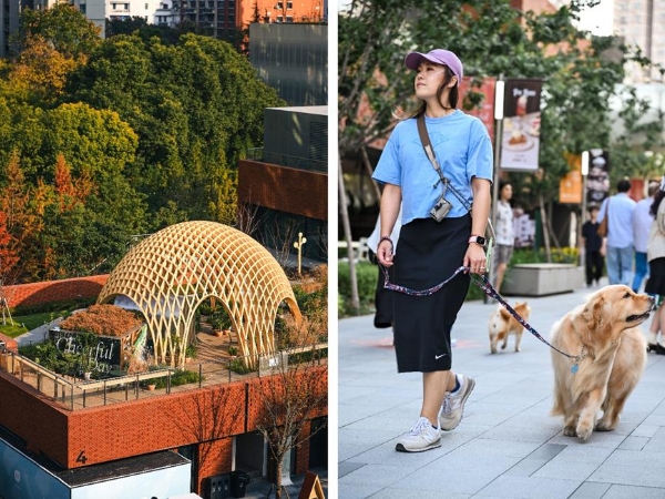 PAC第二届自在生活节启幕