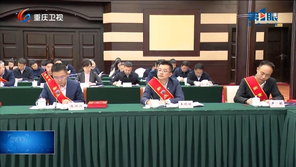 最高荣誉！海辰储能王鹏程荣膺“新重庆贡献奖提名奖” 并发言 