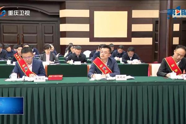 载誉前行！海辰储能王鹏程荣膺“新重庆贡献奖提名奖”并作主题发言