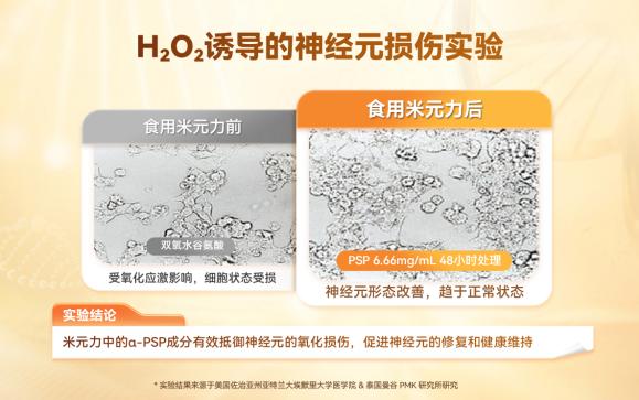 从成分到细胞，米元力α-多糖肽构建营养新范式 